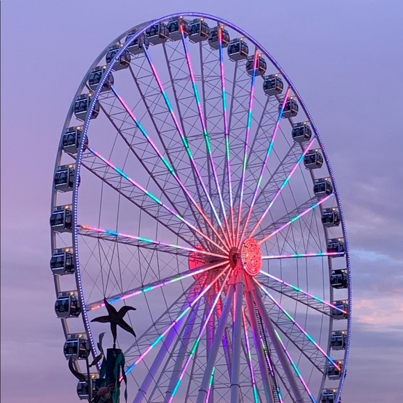 Meet your Posher, Darci - Picture 1 of 1